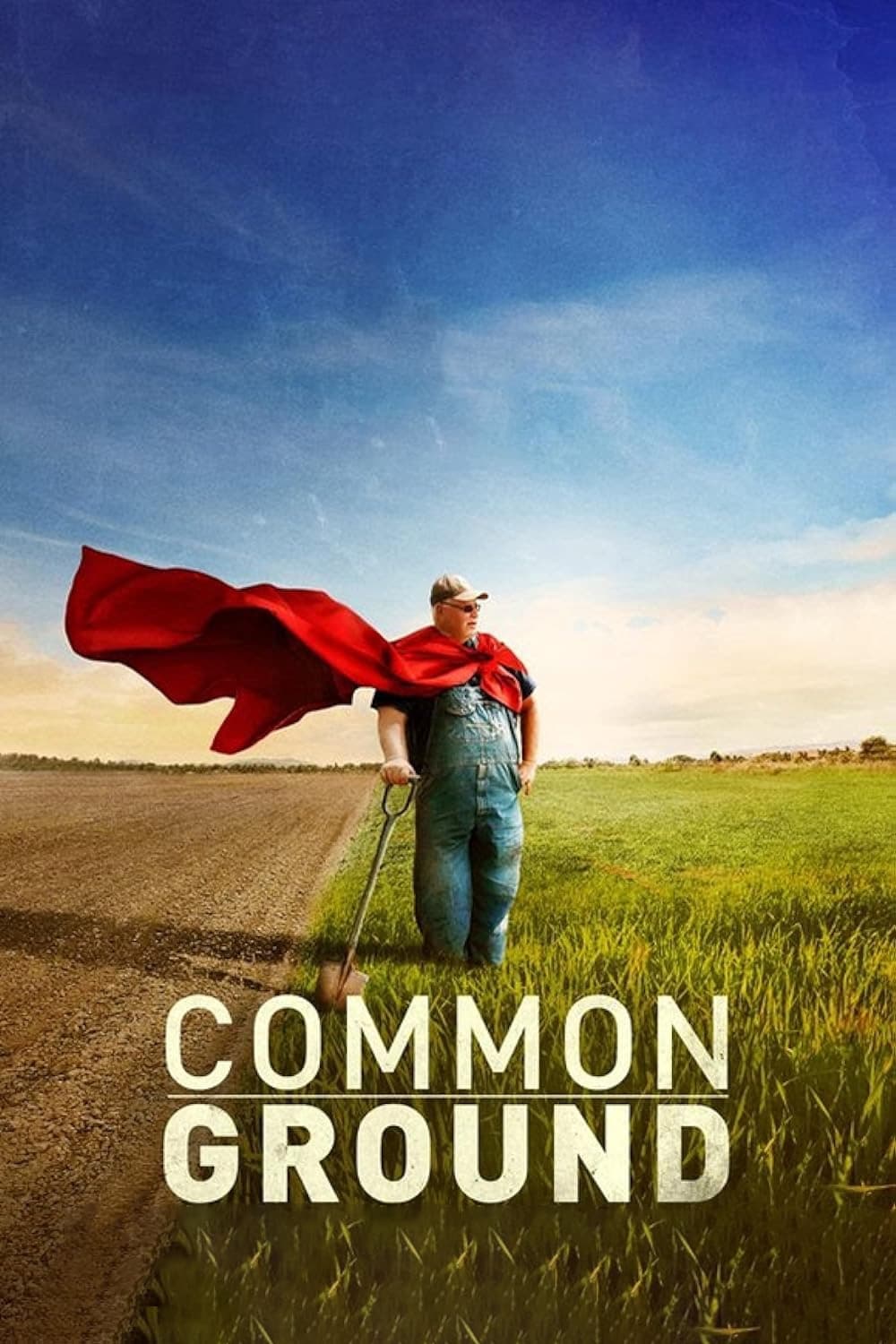 Постер Common Ground